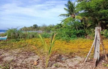 Beach lot For Sale in Siaton, Negros Oriental