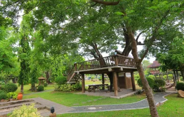 Agricultural Lot For Sale in Paradahan I, Tanza, Cavite
