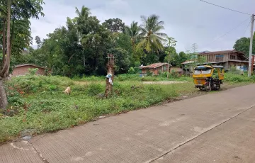 Residential Lot For Sale in Ruparan, Digos, Davao del Sur
