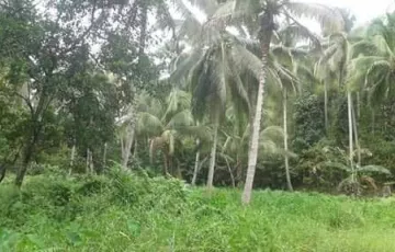 Agricultural Lot For Sale in San Isidro, Davao del Norte