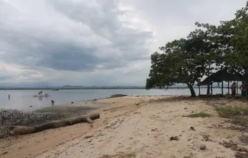 Beach lot For Sale in Inabanga, Bohol