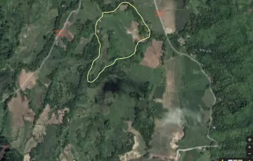 Agricultural Lot For Sale in Inayawan, Cauayan, Negros Occidental