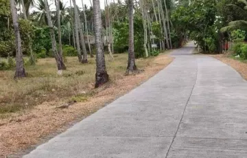 Commercial Lot For Sale in Balabag East, Valencia, Negros Oriental