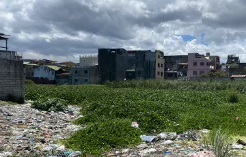 Residential Lot For Sale in Bagumbayan, Taguig, Metro Manila