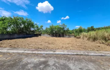 Commercial Lot For Rent in Panipuan, San Fernando, Pampanga