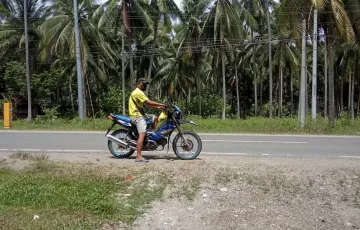 Agricultural Lot For Sale in Malalag, Davao del Sur