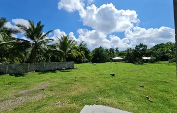 Residential Lot For Sale in Bong-Ao, Valencia, Negros Oriental