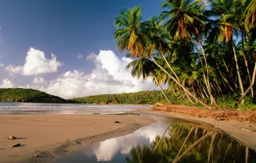Beach lot For Sale in Coguit, Balatan, Camarines Sur