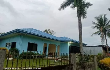 Single-family House For Sale in Punta, Looc, Romblon
