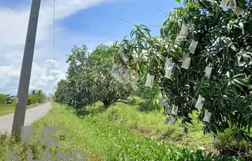 Agricultural Lot For Sale in Carmen, Davao del Norte