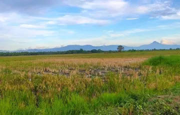 Agricultural Lot For Sale in New Cuyapo, Tantangan, South Cotabato
