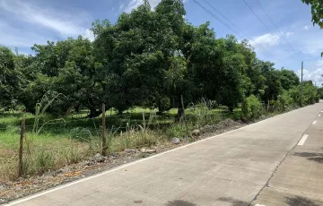 Agricultural Lot For Sale in Dacudao, Davao, Davao del Sur
