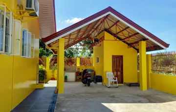 Villas For Sale in Cansayahon, Ronda, Cebu