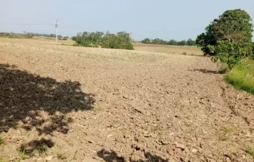 Agricultural Lot For Sale in Santo Domingo, Quirino, Isabela
