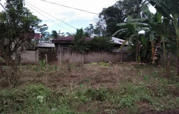 Agricultural Lot For Sale in Poblacion, Kitcharao, Agusan del Norte