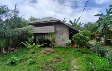 Single-family House For Sale in Bogo, Cebu