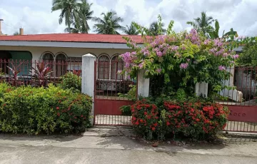 Single-family House For Sale in Maramba, Oas, Albay