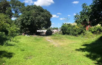Commercial Lot For Sale in Floridablanca, Pampanga