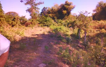 Residential Lot For Sale in Sibulan, Negros Oriental