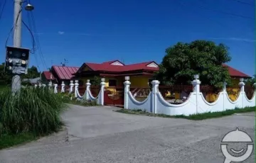 Single-family House For Sale in Dicolor, Gerona, Tarlac