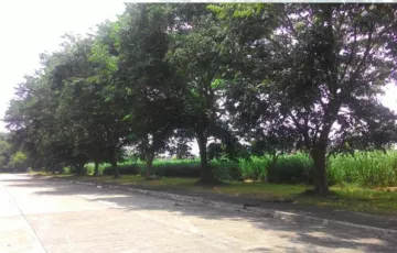 Commercial Lot For Rent in Don Jose, Santa Rosa, Laguna