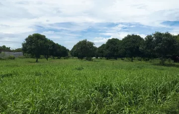 Agricultural Lot For Sale in Porac, Pampanga