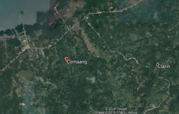 Agricultural Lot For Sale in Comaang, Clarin, Bohol