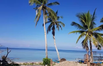 Beach House For Sale in Pio C. Corpuz, Masbate