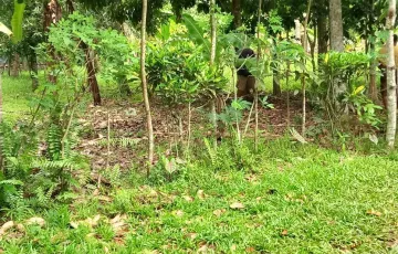 Residential Lot For Sale in Galas, Dipolog, Zamboanga del Norte