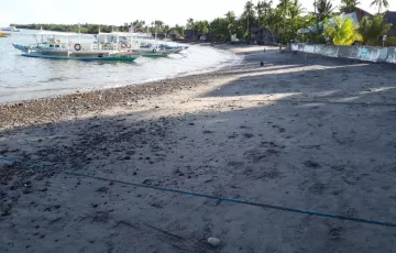 Beach lot For Sale in Maluay, Zamboanguita, Negros Oriental