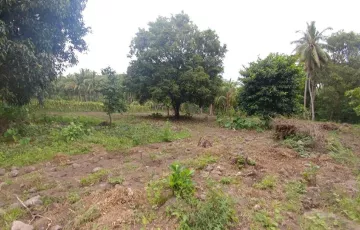 Agricultural Lot For Sale in Valencia, Negros Oriental