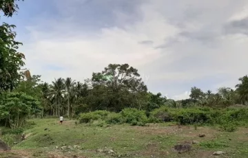 Residential Lot For Sale in Buntod, Bacong, Negros Oriental
