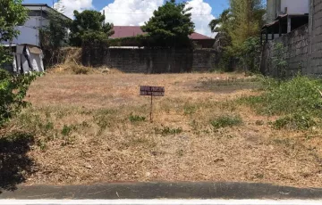 Residential Lot For Sale in B.F. Homes, Parañaque, Metro Manila