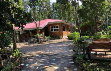 Single-family House For Sale in Balian, Pangil, Laguna