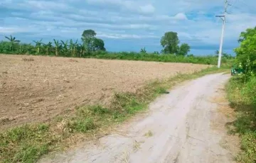 Agricultural Lot For Sale in Magalang, Pampanga