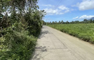 Agricultural Lot For Sale in Malvar, Batangas