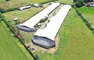 Agricultural Lot For Sale in Balungao, Pangasinan