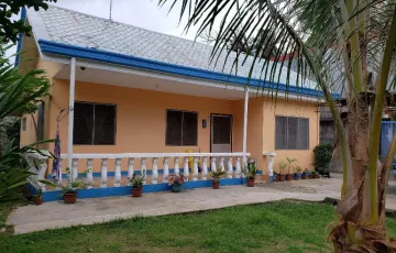 Single-family House For Sale in Talaytay, Argao, Cebu