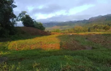 Agricultural Lot For Sale in Colongulo, Surallah, South Cotabato