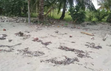 Beach lot For Sale in Aramaywan, Quezon, Palawan