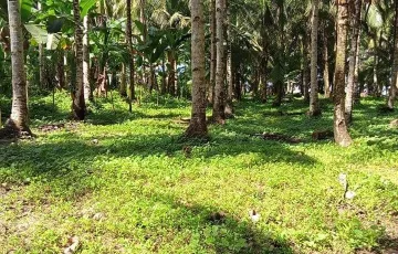 Beach lot For Sale in Biasong, Libagon, Southern Leyte