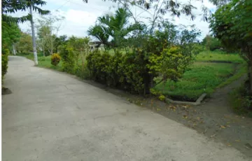 Residential Lot For Sale in Santo Niño, Gapan, Nueva Ecija