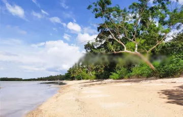 Beach lot For Sale in Alfonso XIII, Quezon, Palawan