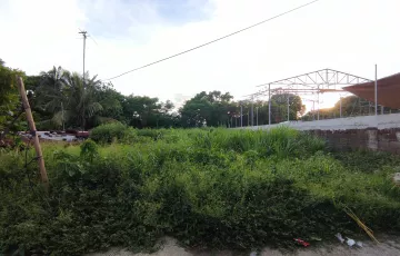 Commercial Lot For Rent in Munting Tubig, Balayan, Batangas