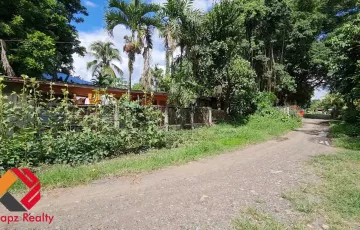Residential Lot For Sale in Lumbo, Vallencia, Bukidnon