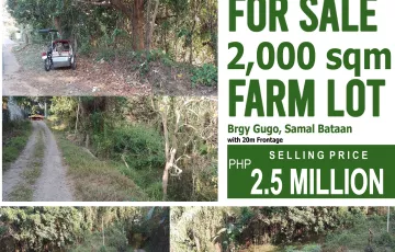 Agricultural Lot For Sale in Gugo, Samal, Bataan
