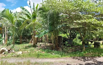 Residential Lot For Sale in Magugpo West, Tagum, Davao del Norte