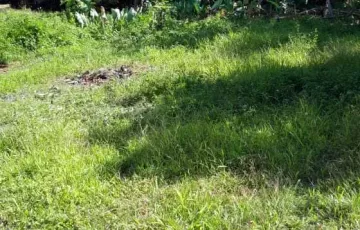 Residential Lot For Sale in Victorias, Negros Occidental