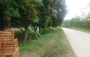 Commercial Lot For Sale in Bulacan, Malalag, Davao del Sur