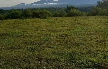 Agricultural Lot For Sale in Colawingon, Talakag, Bukidnon